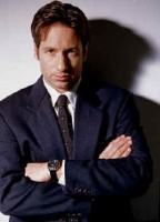 David Duchovny       --         