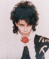 Prince Rogers Nelson --   