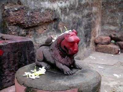 �����������/�����������/�����������/����������� (������)