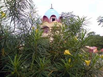 ���������/��������� (������-������, �����)