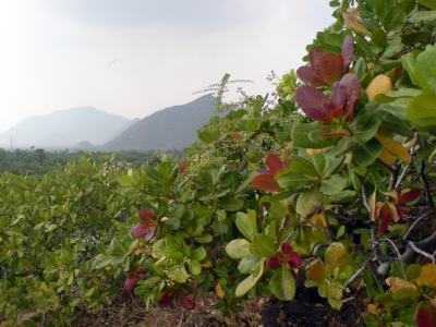 ���������/��������� (������-������, �����)