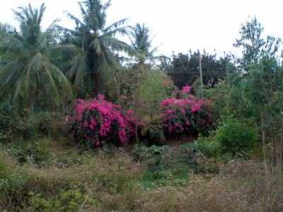 ���������/��������� (������-������, �����)